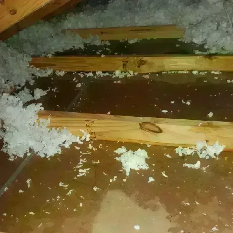 Attic Water Damage in Plymouth, OH