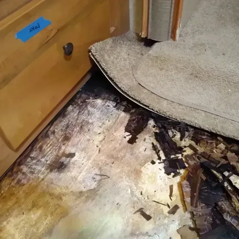 Wood Floor Water Damage in Plymouth, OH